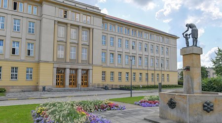 Eisenhüttenstadt kommt nicht zum ersten Mal auf die Leinwand. (Archivbild) / Foto: Patrick Pleul/dpa-Zentralbild/ZB