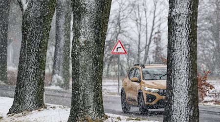 Temperaturen um den Gefrierpunkt in Berlin und Brandenburg. (Symbolbild) / Foto: Patrick Pleul/dpa