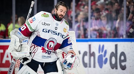 Torhüter Jake Hildebrand kassierte mit den Eisbären Berlin eine Heimniederlage gegen Bremerhaven. (Archivbild) / Foto: Marius Becker/dpa