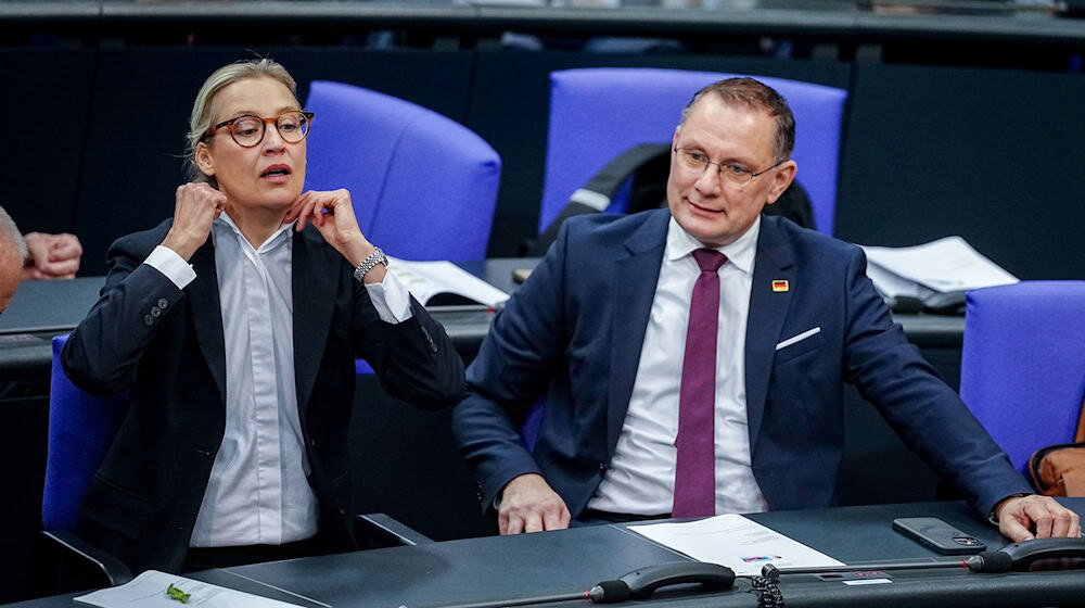 Die Gespräche von Alice Weidel, Co-Fraktionsvorsitzende und Co-Parteichefin der AfD, mit Unternehmern finden nach Angaben ihres Sprechers bislang meist im vertraulichen Rahmen statt.  / Foto: Kay Nietfeld/dpa