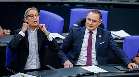 Die Gespräche von Alice Weidel, Co-Fraktionsvorsitzende und Co-Parteichefin der AfD, mit Unternehmern finden nach Angaben ihres Sprechers bislang meist im vertraulichen Rahmen statt.  / Foto: Kay Nietfeld/dpa