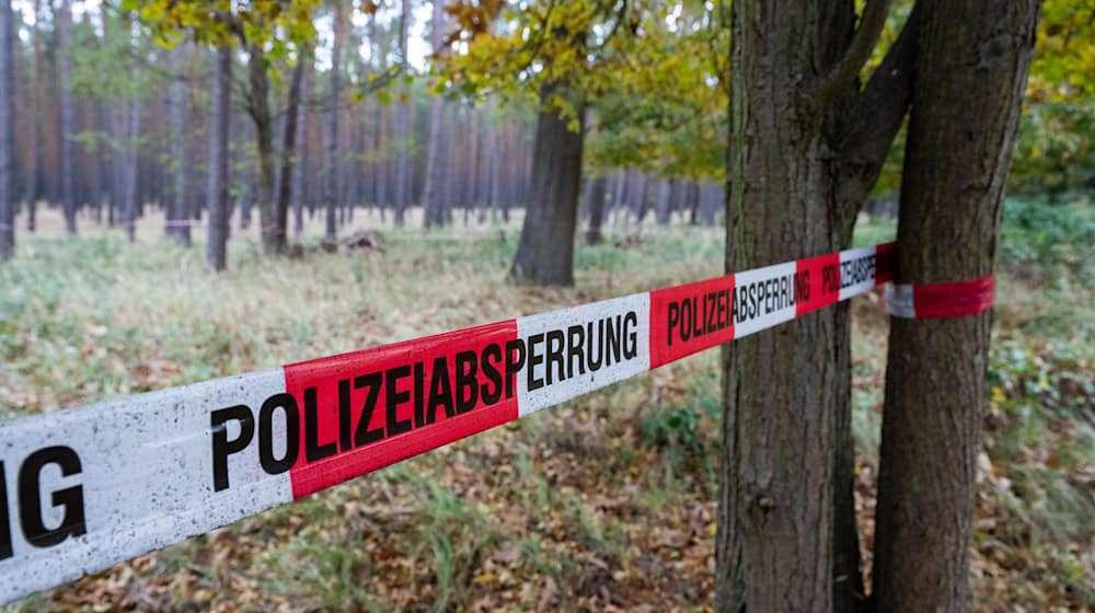 Am Donnerstag soll die Bombe durch den Kampfmitteilbeseitigungsdienst des Landes Brandenburg entschärft werden. (Archivbild) / Foto: Christophe Gateau/dpa