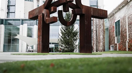 Jedes Jahr kommt der Weihnachtsbaum für das Kanzleramt aus einem anderen Bundesland. (Archivbild) / Foto: Carsten Koall/dpa