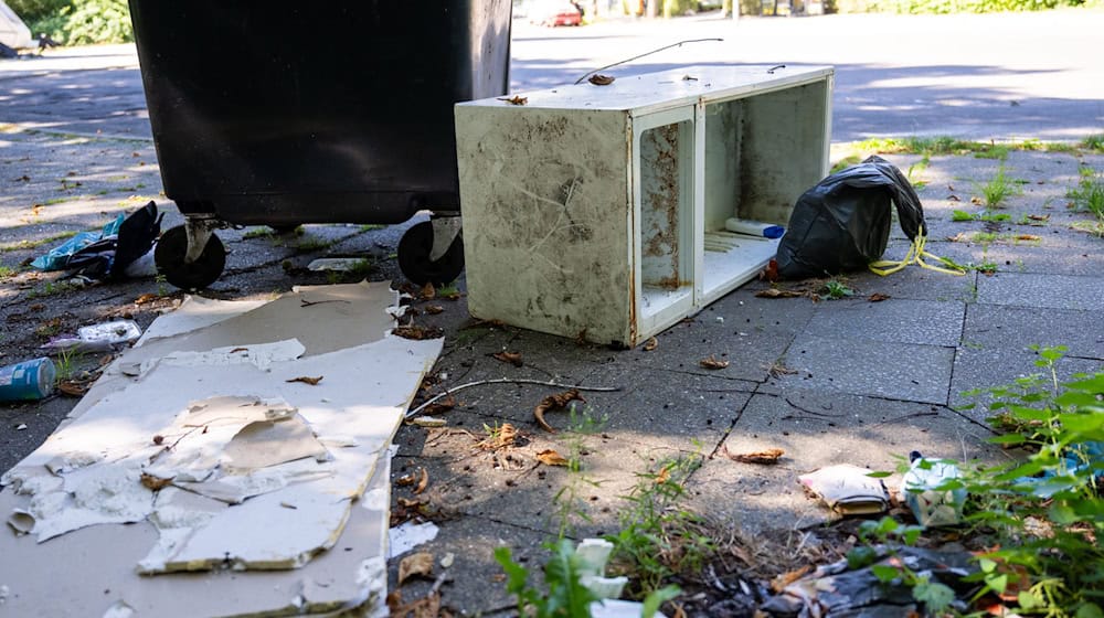 In Berlin finden es viele Menschen normal, Sperrmüll einfach auf der Straße zu entsorgen. (Archivbild) / Foto: Christophe Gateau/dpa