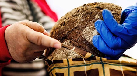 Die Tafeln in Brandenburg erleben einen stärkeren Zulauf. (Archivbild) / Foto: Carsten Koall/dpa