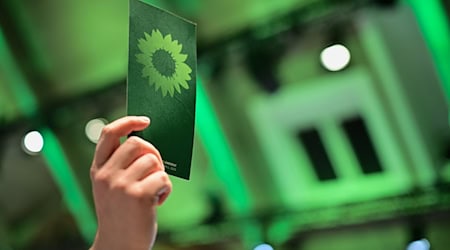 Die Nachfolgerin für den Landesvorsitz steht fest. (Symbolbild) / Foto: Sebastian Christoph Gollnow/dpa