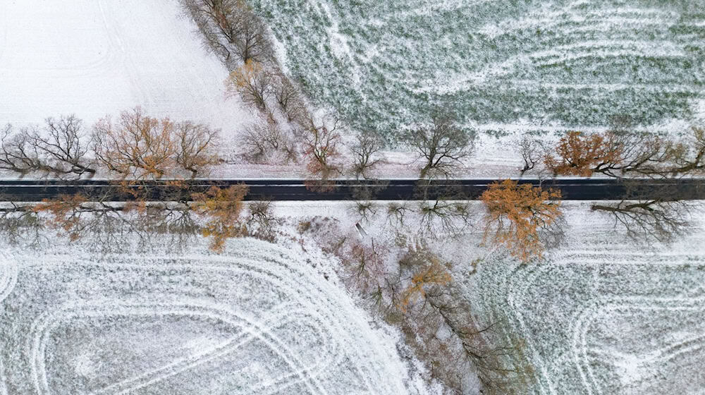 In Brandenburg hat es am Montag geschneit.  / Foto: Patrick Pleul/dpa