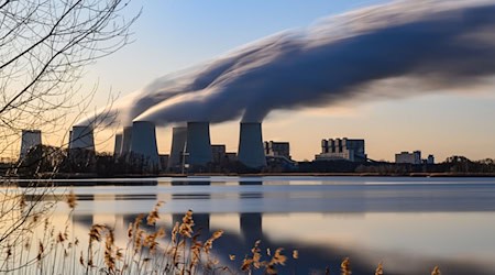In der Lausitz fällt der Bevölkerungsrückgang bis 2038 nach einer Analyse insgesamt deutlicher aus als in den anderen Kohlerevieren. (Archivbild)  / Foto: Patrick Pleul/dpa