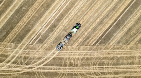 Der Investor kontrolliert mehr als 20.000 Hektar Agrarfläche. (Archivbild) / Foto: Jan Woitas/dpa