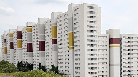 Die Bestandsmieten der landeseigenen Wohnungsbaugesellschaften in Berlin liegen bei rund sieben Euro pro Quadratmeter. (Symbolfoto) / Foto: Wolfgang Kumm/dpa