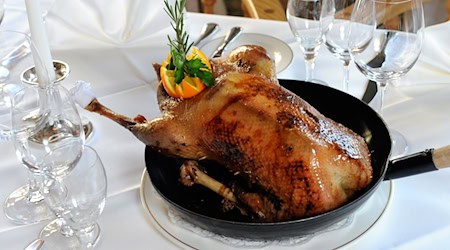 Der traditionelle Gänsebraten zu Sankt Martin wird Experten zufolge nicht viel teurer. (Symbolbild) / Foto: picture alliance / dpa