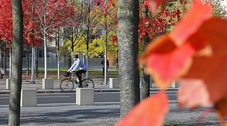 Bei milden Temperaturen und einigen Wolken bleibt es in den kommenden Tagen trocken. (Symbolbild) / Foto: Alicia Windzio/dpa