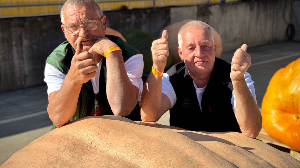 Michael Schade und Bernd Paul aus Beelitz sind die Sieger der diesjährigen Kürbis-Wiegemeisterschaft in Brandenburg und knackten mit ihrem orangefarbenen Riesen die 1.000-Kilo-Marke. (Archivfoto) / Foto: Lukas Kupke/Spargelhof Klaistow/dpa