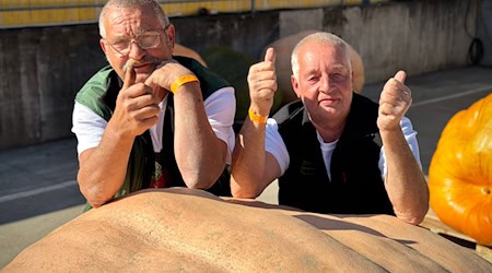 Michael Schade und Bernd Paul aus Beelitz sind die Sieger der diesjährigen Kürbis-Wiegemeisterschaft in Brandenburg und knackten mit ihrem orangefarbenen Riesen die 1.000-Kilo-Marke. (Archivfoto) / Foto: Lukas Kupke/Spargelhof Klaistow/dpa Michael Schade und Bernd Paul aus Beelitz sind die Sieger der diesjährigen Kürbis-Wiegemeisterschaft in Brandenburg und knackten mit ihrem orangefarbenen Riesen die 1.000-Kilo-Marke. (Archivfoto) / Foto: Lukas Kupke/Spargelhof Klaistow/dpa