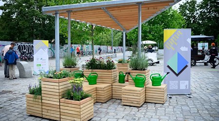 Im Juli wurde im Mauerpark Berlins erster Cooling Point vorgestellt. (Archivbild)  / Foto: Bernd von Jutrczenka/dpa