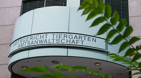 Nach dem Unfalltod eines Fußgängers in Berlin-Oberschöneweide erging gegen einen Transporter-Fahrer eine Geldstrafe von 2.000 Euro. (Symbolbild)  / Foto: Monika Skolimowska/dpa