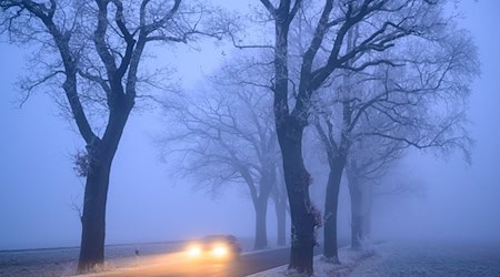Autofahrer sollten auf den Straßen wegen Glätte besonders vorsichtig fahren. (Symbolbild) / Foto: Patrick Pleul/dpa