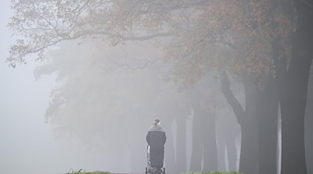 Der Dienstag startet mit Nebel in Berlin und Brandenburg. (Symbolbild) / Foto: Patrick Pleul/dpa