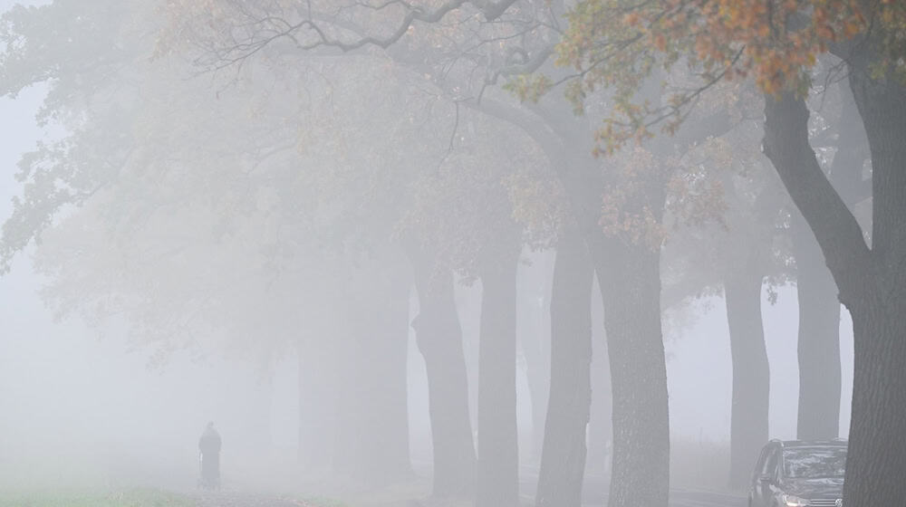 In Berlin und Brandenburg wird der Wochenstart grau und neblig-trüb. (Archivbild) / Foto: Patrick Pleul/dpa