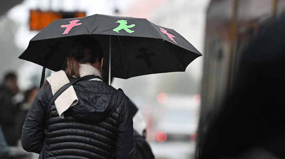 Berlin zog im laufenden Jahr bisher weniger Touristen an als im gleichen Zeitraum 2024. (Archivbild) / Foto: Lilli Förter/dpa