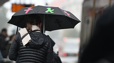 Berlin zog im laufenden Jahr bisher weniger Touristen an als im gleichen Zeitraum 2024. (Archivbild) / Foto: Lilli Förter/dpa