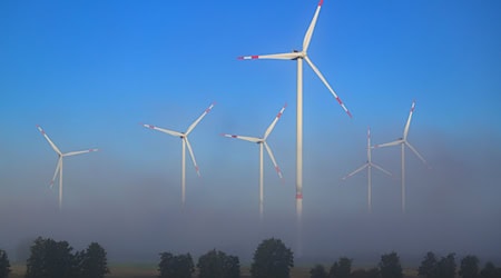 Der Landtag will mit einem neuen Gesetz die Akzeptanz in den Kommunen für Solar- und Windenergie erhöhen. (Symbolbild) / Foto: Patrick Pleul/dpa