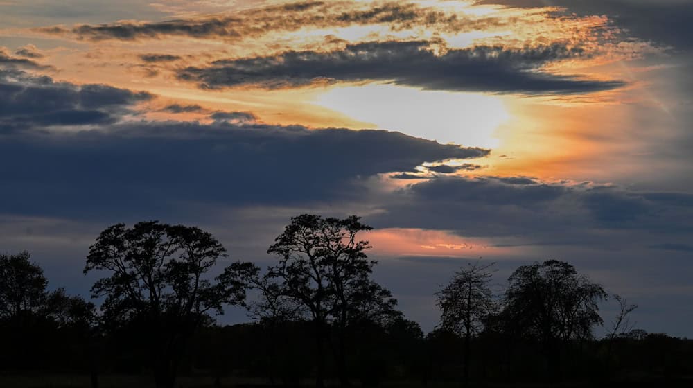 Auch am Samstag zeigt sich zunächst die Sonne über Berlin und Brandenburg. (Symbolbild) / Foto: Soeren Stache/dpa