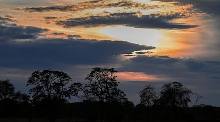 Auch am Samstag zeigt sich zunächst die Sonne über Berlin und Brandenburg. (Symbolbild) / Foto: Soeren Stache/dpa