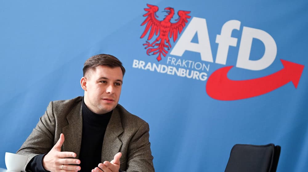 Hohm sieht die neue AfD-Jugendorganisation nicht als rechtsextrem oder rechtsradikal an. (Archivbild) / Foto: Lilli Förter/dpa