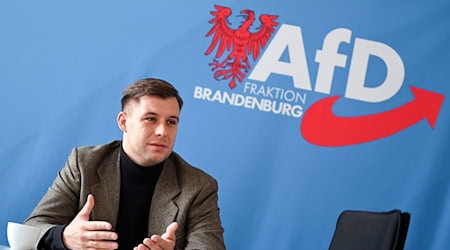 Hohm sieht die neue AfD-Jugendorganisation nicht als rechtsextrem oder rechtsradikal an. (Archivbild) / Foto: Lilli Förter/dpa