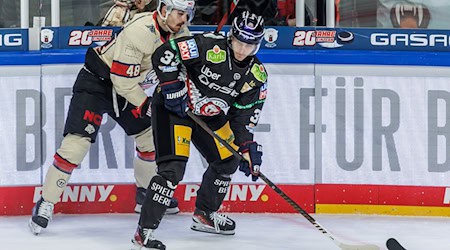 Angreifer Matej Leden von den Eisbären Berlin erzielte bei der knappen Heimniederlage gegen die Kölner Haie sein erstes DEL-Tor. (Archivbild) / Foto: Andreas Gora/dpa
