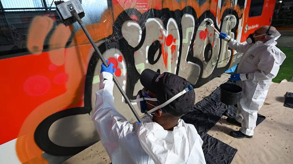 Schmierereien verursachen Millionen-Schäden bei der Bahn. (Archivbild) / Foto: Arne Dedert/dpa