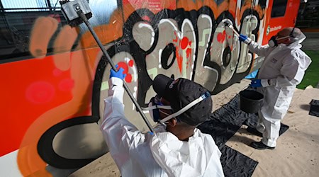 Schmierereien verursachen Millionen-Schäden bei der Bahn. (Archivbild) / Foto: Arne Dedert/dpa