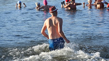 Nicht nur an Weihnachten und Neujahr baden die Berliner Seehunde bei eiskalten Temperaturen im Berliner Orankesee. / Foto: Paul Zinken/dpa