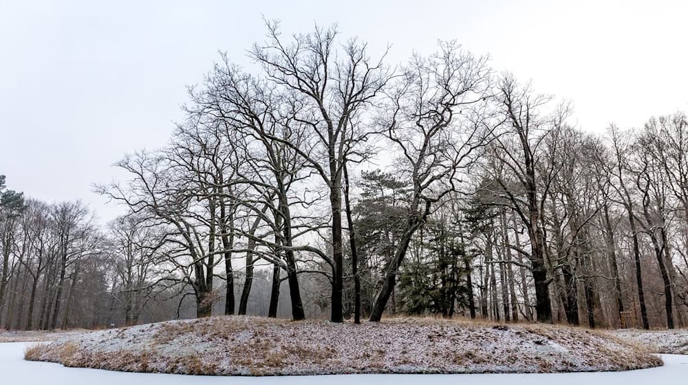In Berlin und Brandenburg sinken die Temperaturen auch in den kommenden Nächten unter den Gefrierpunkt. / Foto: Frank Hammerschmidt/dpa