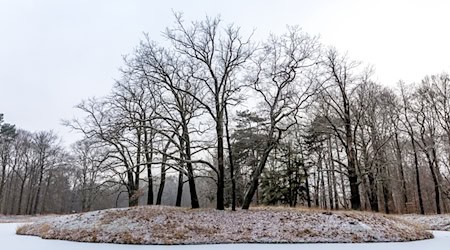 In Berlin und Brandenburg sinken die Temperaturen auch in den kommenden Nächten unter den Gefrierpunkt. / Foto: Frank Hammerschmidt/dpa