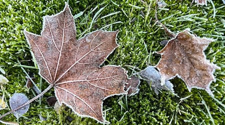 An den Weihnachtstagen sinkt die Temperatur nach DWD-Angaben auf bis zu minus drei Grad, in der Nacht sogar auf bis zu minus zehn Grad. (Archivbild) / Foto: Britta Pedersen/dpa