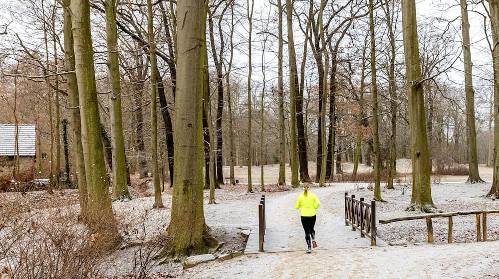 Zum Jahreswechsel könnte es in Berlin und Brandenburg schneien. (Symbolbild) / Foto: Frank Hammerschmidt/dpa