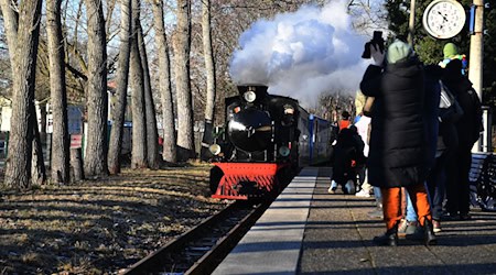 Die Parkeisenbahn war mit viel Dampf im Volkspark Wuhlheide unterwegs.  / Foto: Paul Zinken/dpa
