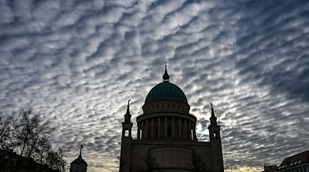 Schnee ist in Berlin und Brandenburg nicht in Sicht. (Symbolbild) / Foto: Jens Kalaene/dpa
