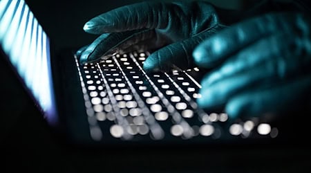 Die Betrüger schalteten eine Internetanzeige. (Symbolbild) / Foto: Philip Dulian/dpa