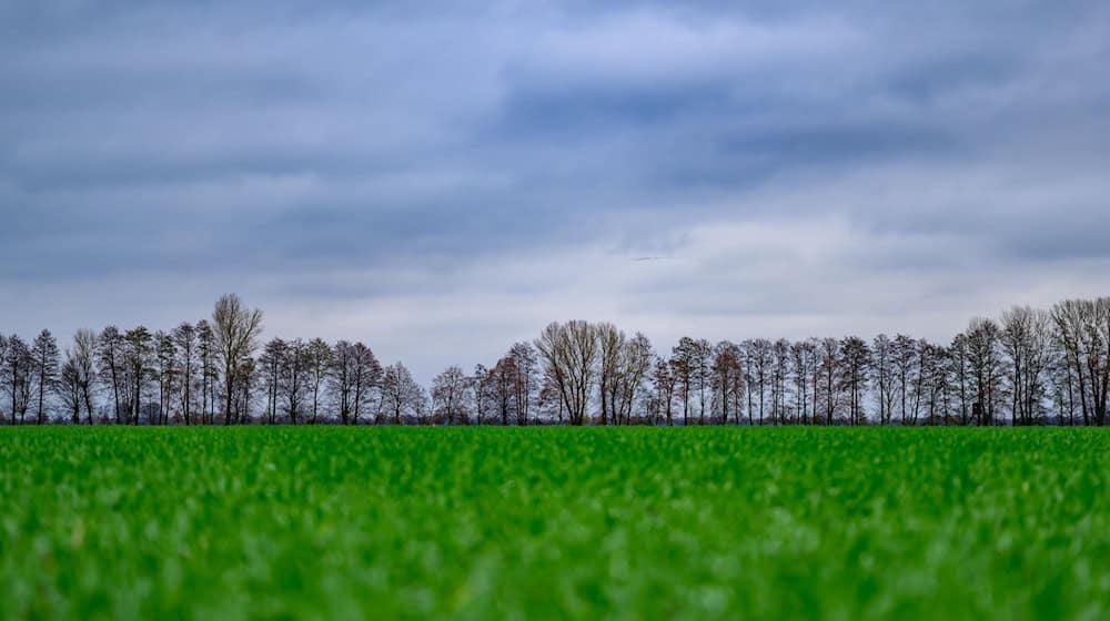 Viele Wolken ziehen in den kommenden Tagen über Berlin und Brandenburg. (Symbolbild) / Foto: Patrick Pleul/dpa