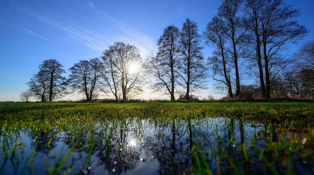 In Brandenburg und Berlin zeigt sich heute und morgen die Sonne. (Archivbild) / Foto: Patrick Pleul/dpa