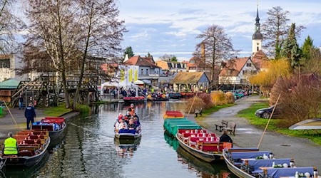 Zum Start in den Dezember soll es milde Temperaturen in Berlin und Brandenburg geben. (Archivbild) / Foto: Patrick Pleul/dpa