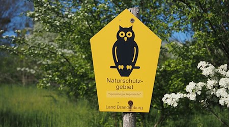 Von Naturschutzpionieren aus Bad Freienwalde entwickelt: Die bekannte Naturschutz-Eule. / Foto: Soeren Stache/dpa-Zentralbild/ZB
