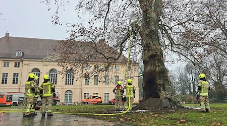 Feuerwehrleute löschten den denkmalgeschützten Baum im Schlosspark Schönhausen. (Handout) / Foto: -/Berliner Feuerwehr/dpa