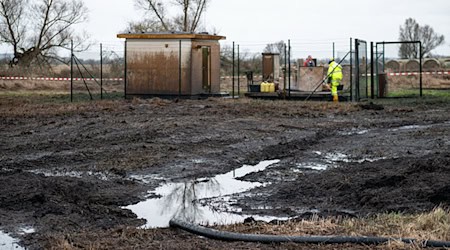 Aus einem Leck an der Öl-Pipeline der Raffinerie PCK in der Uckermark waren mindestens 200.000 Liter Öl ausgetreten. (Archivbild)  / Foto: Fabian Sommer/dpa