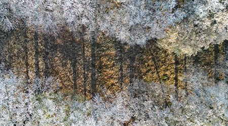 Zum Jahreswechsel wird es frostig und auch Schnee ist möglich. (Symbolbild) / Foto: Patrick Pleul/dpa