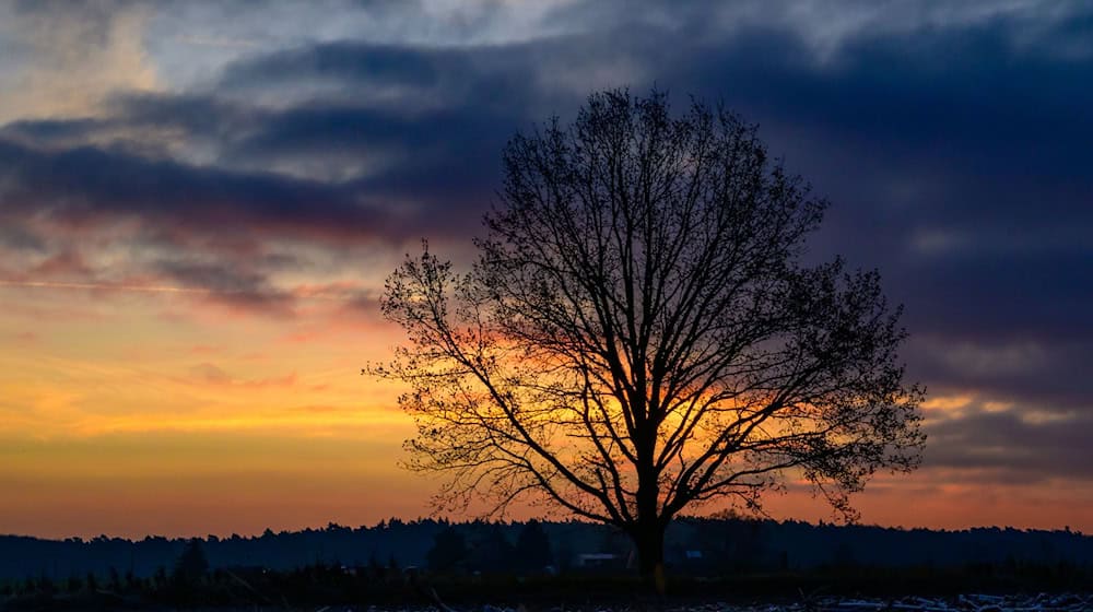 Die Temperaturen erreichen den Tag über laut DWD bis zu elf Grad. (Symbolbild) / Foto: Patrick Pleul/dpa
