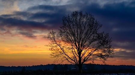 Die Temperaturen erreichen den Tag über laut DWD bis zu elf Grad. (Symbolbild) / Foto: Patrick Pleul/dpa